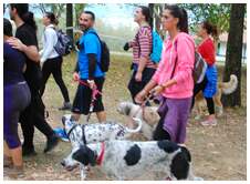 Foto 61 de la galería del avituallamiento | 12:00 h -12:30 h |  Galería 4 - Subida a Artxanda 2015