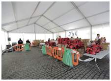 Foto 43 de la galería del llegada | 11:00 h -12:00 h |  Galería 1 - Subida a Artxanda 2015