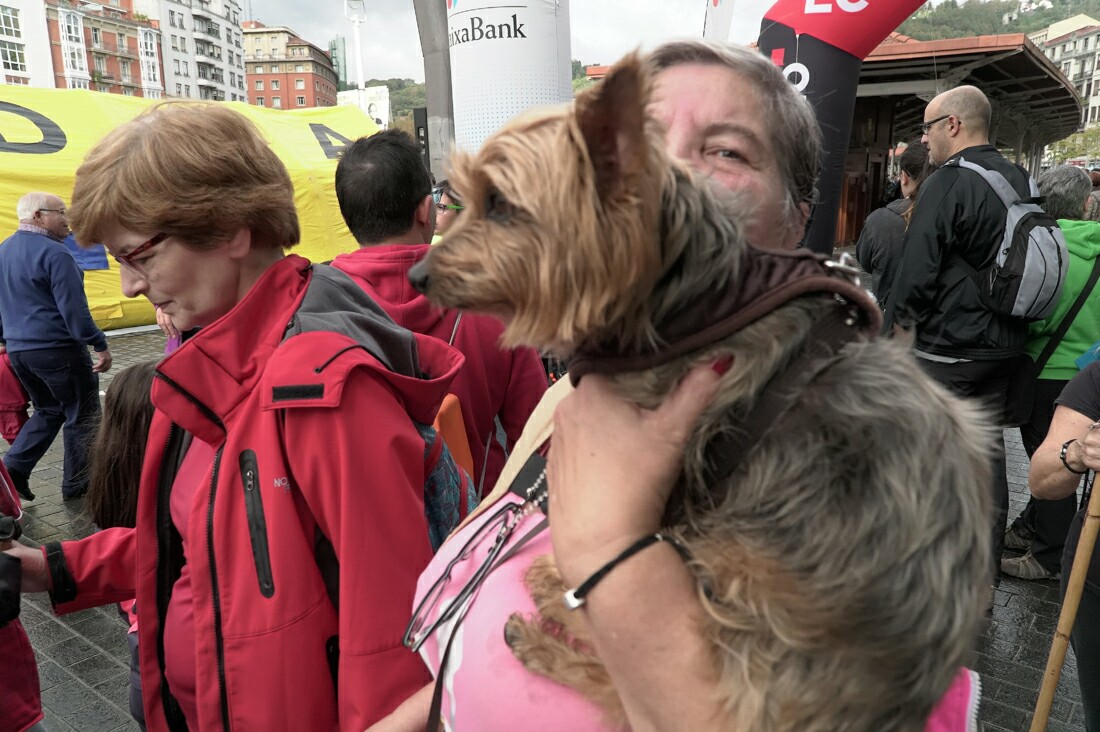 Foto 871 de la llegada - Subida a Artxanda 2017