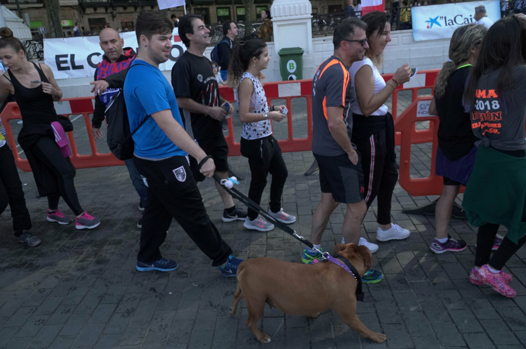 Foto 1072 de la llegada - Galería 1 de Subida a Artxanda 2018