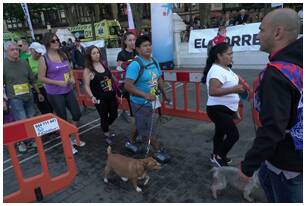 Foto 1118 de la llegada - Galería 1 de Subida a Artxanda 2018