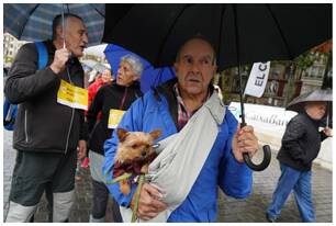 Foto 206 de la llegada - Galería de la Subida a Artxanda 2019