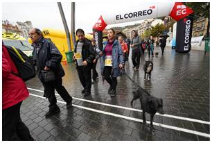 Foto 348 de la llegada - Galería de la Subida a Artxanda 2019