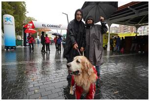 Foto 167 de la salida - Galería de la Subida a Artxanda 2019
