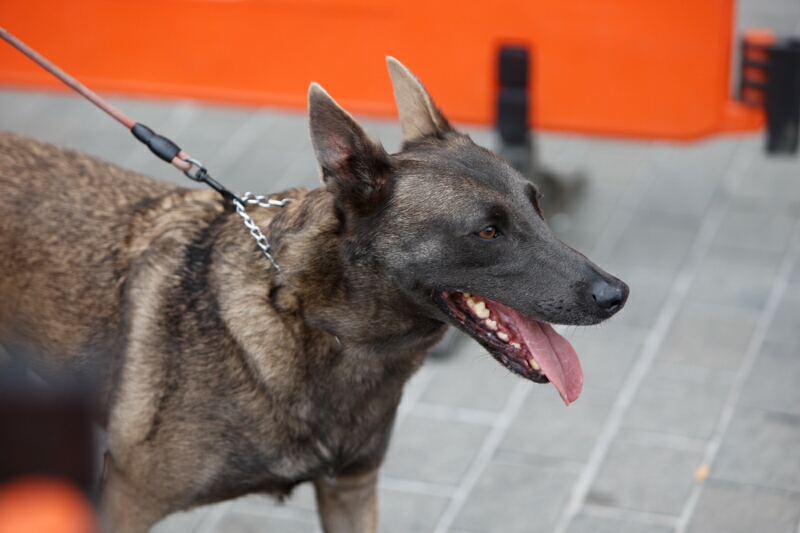 Foto 130 de la llegada - Galer&iacute;a de la Subida a Artxanda 2022