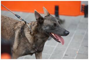 Foto 130 de la llegada - Galer&iacute;a de la Subida a Artxanda 2022