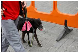 Foto 150 de la llegada - Galer&iacute;a de la Subida a Artxanda 2022