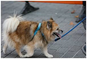 Foto 515 de la llegada - Galer&iacute;a de la Subida a Artxanda 2022