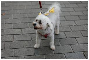 Foto 779 de la llegada - Galer&iacute;a de la Subida a Artxanda 2022