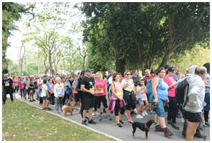 Foto 13 de la mirador - Galer&iacute;a de la Subida a Artxanda 2022