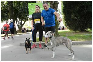 Foto 96 de la punto alto - Galer&iacute;a de la Subida a Artxanda 2022