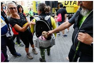 Foto 228 de la salida - Galer&iacute;a de la Subida a Artxanda 2022