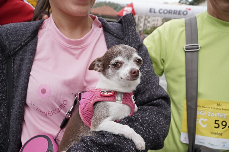 Foto 204 de la llegada - Galer&iacute;a de la Subida a Artxanda 2023