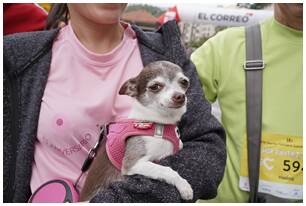Foto 204 de la llegada - Galería de la Subida a Artxanda 2023