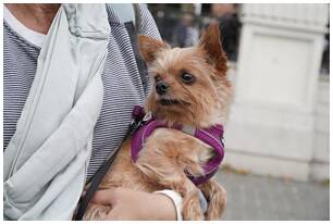 Foto 1131 de la llegada - Galer&iacute;a de la Subida a Artxanda 2023